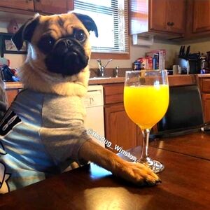 Meet your Posher, Tamara